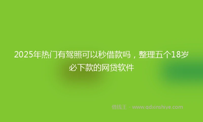 2025年热门有驾照可以秒借款吗，整理五个18岁必下款的网贷软件