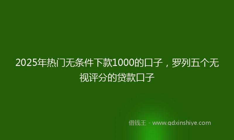 2025年热门无条件下款1000的口子，罗列五个无视评分的贷款口子