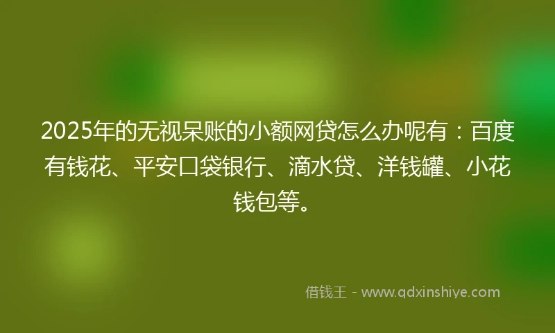 2025年的无视呆账的小额网贷怎么办呢有：百度有钱花、平安口袋银行、滴水贷、洋钱罐、小花钱包等。
