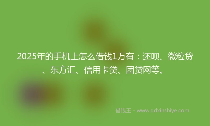2025年的手机上怎么借钱1万有：还呗、微粒贷、东方汇、信用卡贷、团贷网等。