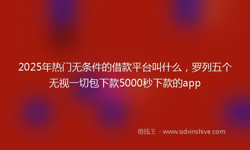 2025年热门无条件的借款平台叫什么，罗列五个无视一切包下款5000秒下款的app