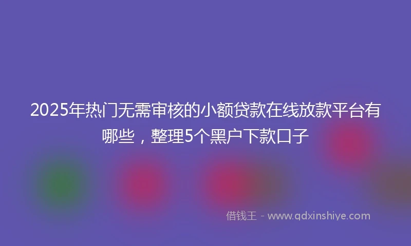 2025年热门无需审核的小额贷款在线放款平台有哪些，整理5个黑户下款口子