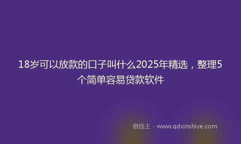 18岁可以放款的口子叫什么2025年精选，整理5个简单容易贷款软件