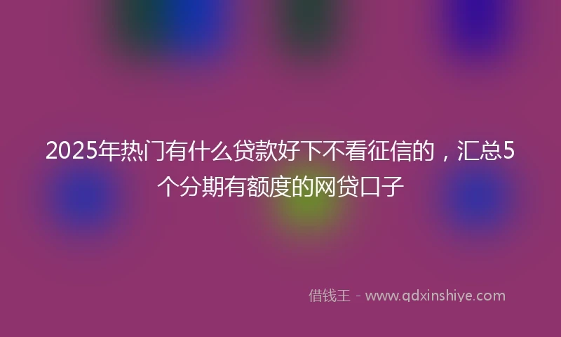 2025年热门有什么贷款好下不看征信的，汇总5个分期有额度的网贷口子
