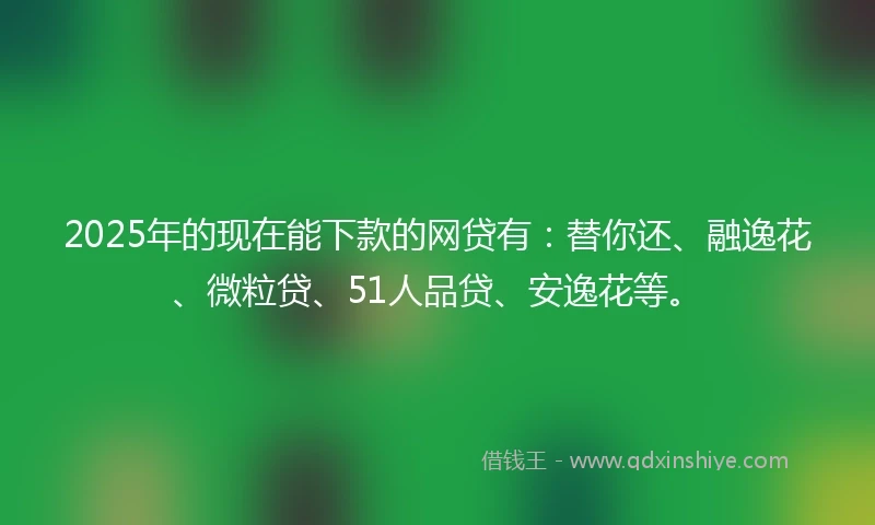 2025年的现在能下款的网贷有：替你还、融逸花、微粒贷、51人品贷、安逸花等。