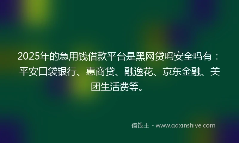 2025年的急用钱借款平台是黑网贷吗安全吗有：平安口袋银行、惠商贷、融逸花、京东金融、美团生活费等。