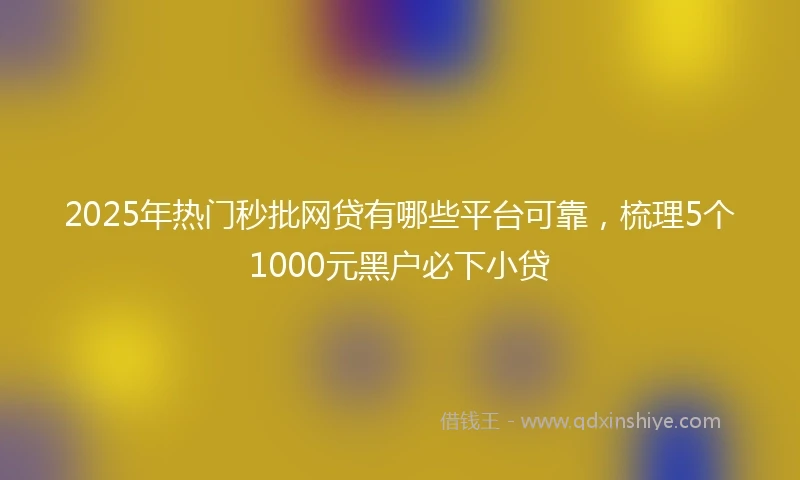 2025年热门秒批网贷有哪些平台可靠，梳理5个1000元黑户必下小贷