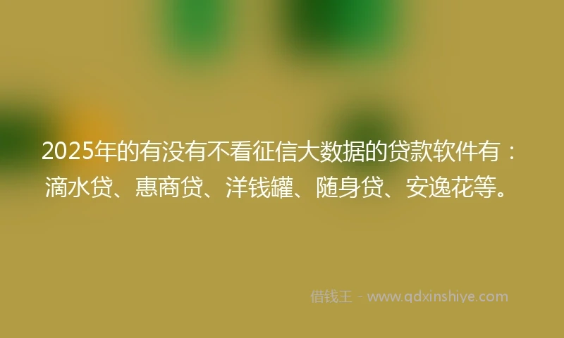 2025年的有没有不看征信大数据的贷款软件有：滴水贷、惠商贷、洋钱罐、随身贷、安逸花等。