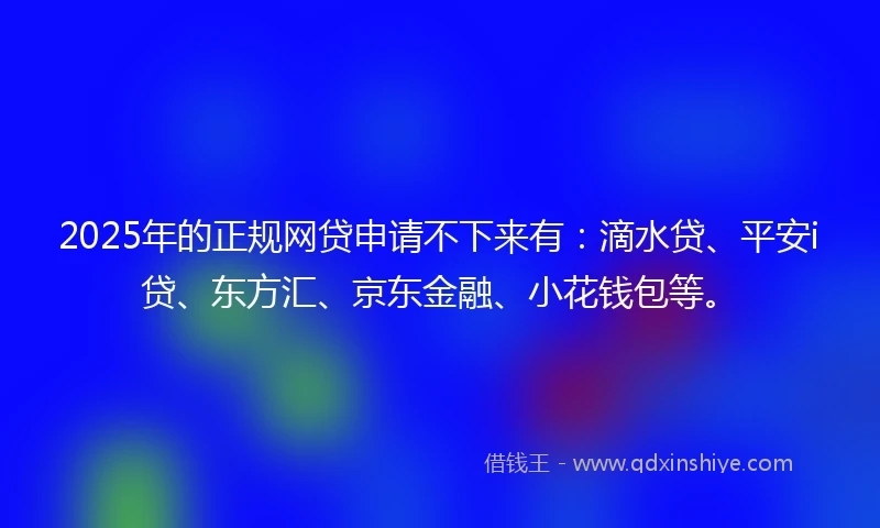 2025年的正规网贷申请不下来有：滴水贷、平安i贷、东方汇、京东金融、小花钱包等。