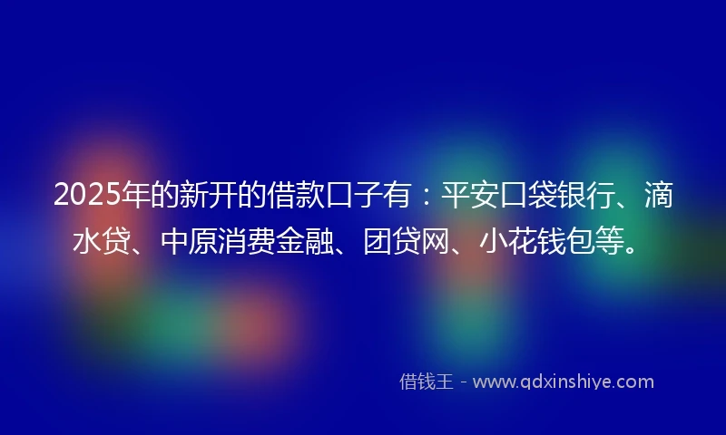 2025年的新开的借款口子有：平安口袋银行、滴水贷、中原消费金融、团贷网、小花钱包等。