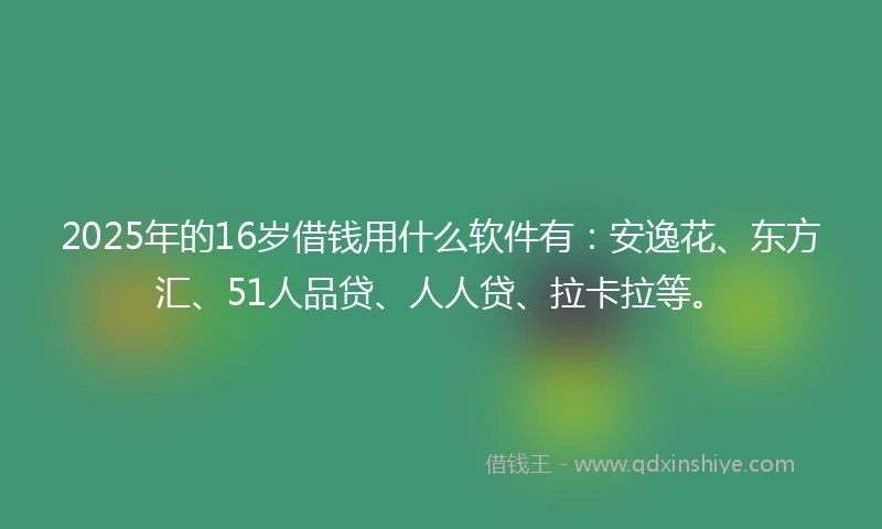 2025年的16岁借钱用什么软件有：安逸花、东方汇、51人品贷、人人贷、拉卡拉等。