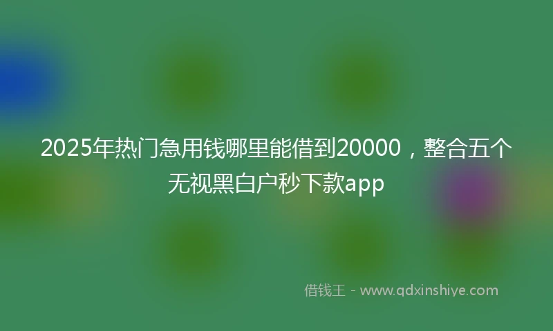 2025年热门急用钱哪里能借到20000，整合五个无视黑白户秒下款app