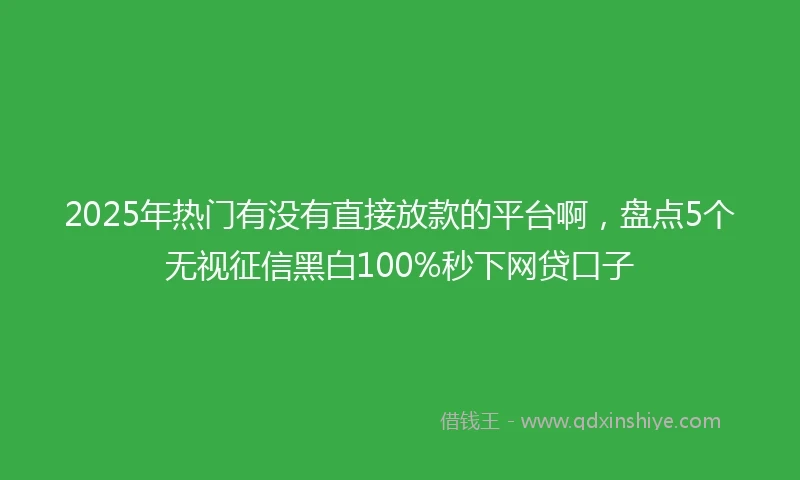 2025年热门有没有直接放款的平台啊，盘点5个无视征信黑白100%秒下网贷口子
