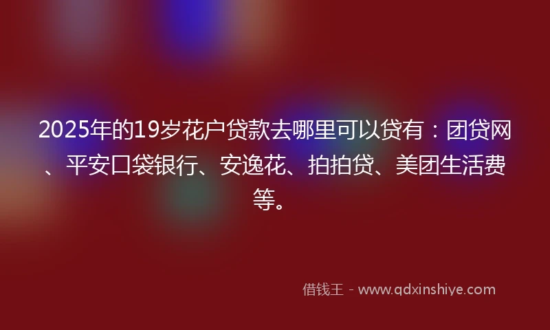 2025年的19岁花户贷款去哪里可以贷有：团贷网、平安口袋银行、安逸花、拍拍贷、美团生活费等。