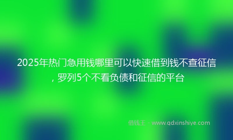 2025年热门急用钱哪里可以快速借到钱不查征信，罗列5个不看负债和征信的平台