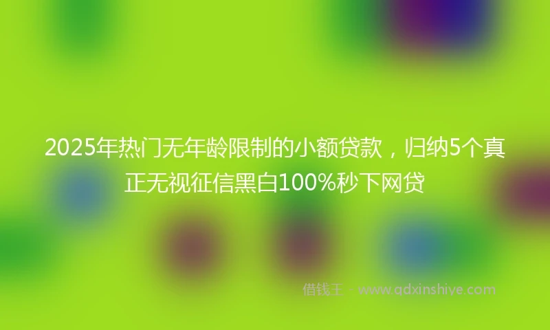 2025年热门无年龄限制的小额贷款，归纳5个真正无视征信黑白100%秒下网贷