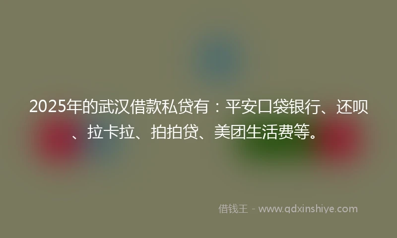 2025年的武汉借款私贷有：平安口袋银行、还呗、拉卡拉、拍拍贷、美团生活费等。