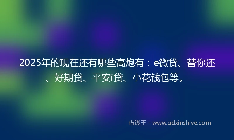 2025年的现在还有哪些高炮有：e微贷、替你还、好期贷、平安i贷、小花钱包等。