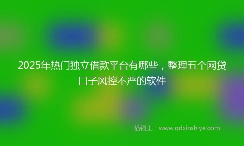 2025年热门独立借款平台有哪些，整理五个网贷口子风控不严的软件