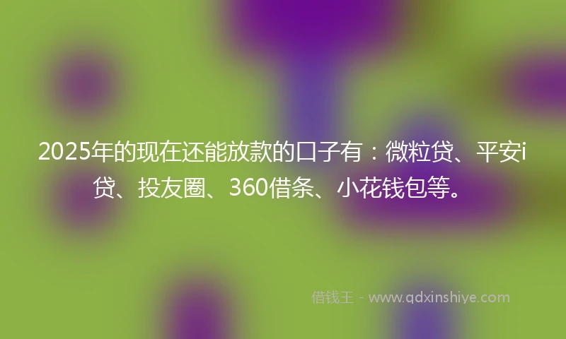 2025年的现在还能放款的口子有：微粒贷、平安i贷、投友圈、360借条、小花钱包等。