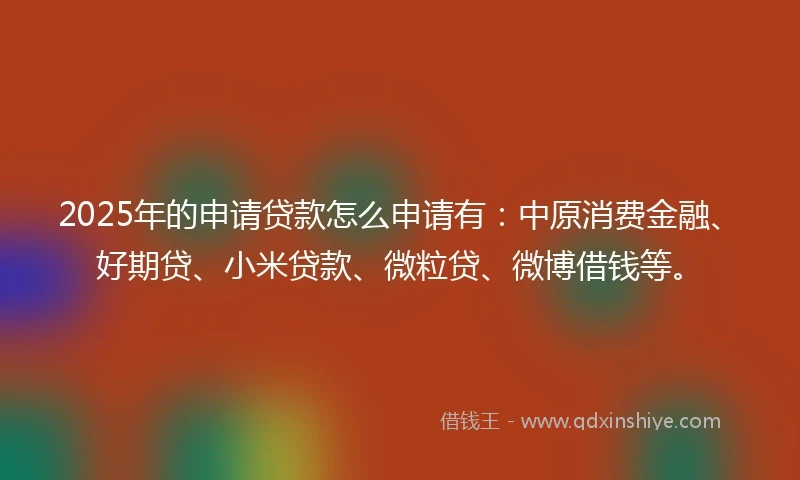2025年的申请贷款怎么申请有：中原消费金融、好期贷、小米贷款、微粒贷、微博借钱等。
