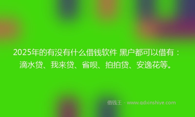 2025年的有没有什么借钱软件 黑户都可以借有：滴水贷、我来贷、省呗、拍拍贷、安逸花等。