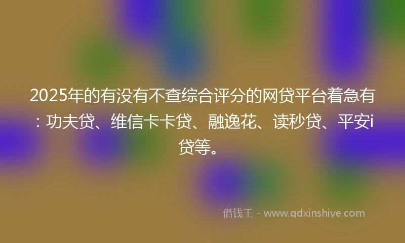 2025年的有没有不查综合评分的网贷平台着急有：功夫贷、维信卡卡贷、融逸花、读秒贷、平安i贷等。