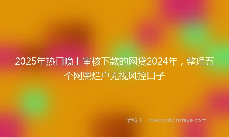 2025年热门晚上审核下款的网贷2024年，整理五个网黑烂户无视风控口子