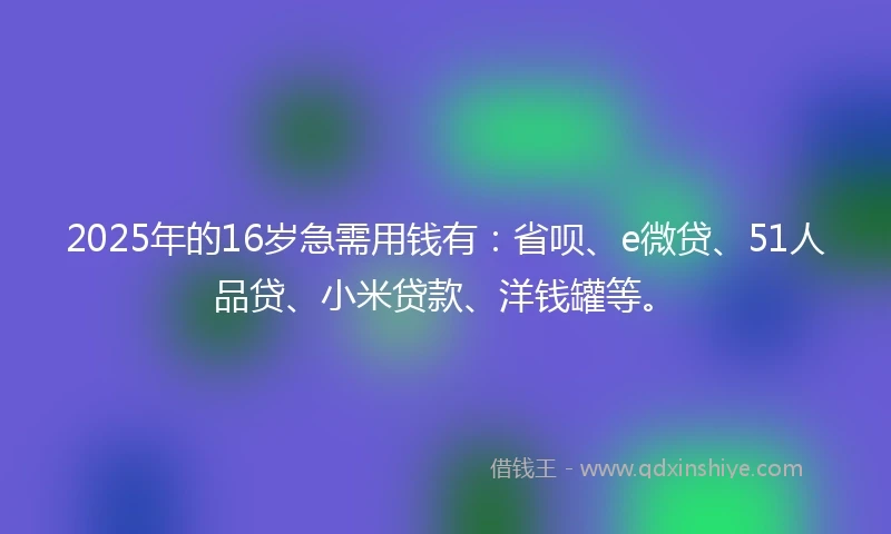 2025年的16岁急需用钱有：省呗、e微贷、51人品贷、小米贷款、洋钱罐等。
