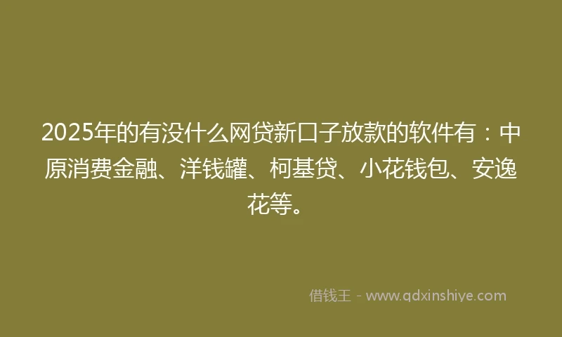 2025年的有没什么网贷新口子放款的软件有：中原消费金融、洋钱罐、柯基贷、小花钱包、安逸花等。