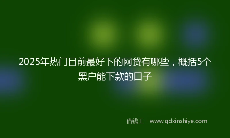 2025年热门目前最好下的网贷有哪些，概括5个黑户能下款的口子