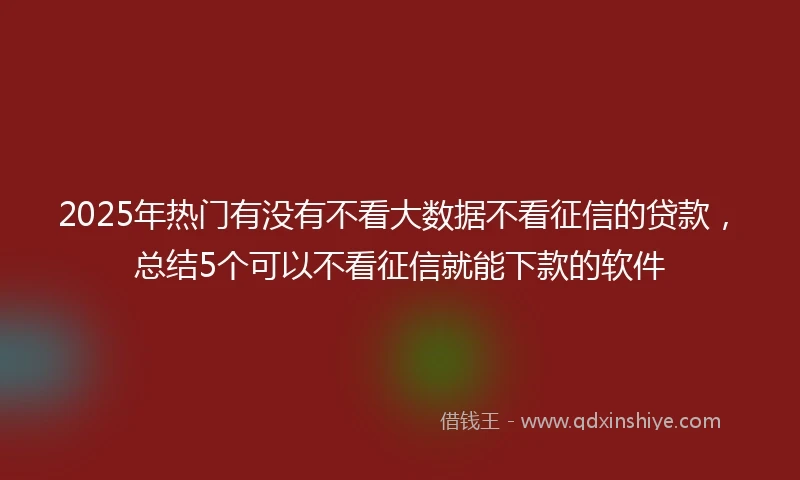 2025年热门有没有不看大数据不看征信的贷款，总结5个可以不看征信就能下款的软件