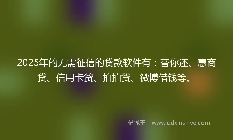 2025年的无需征信的贷款软件有：替你还、惠商贷、信用卡贷、拍拍贷、微博借钱等。