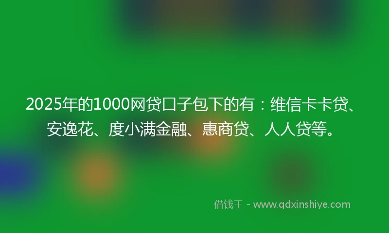 2025年的1000网贷口子包下的有：维信卡卡贷、安逸花、度小满金融、惠商贷、人人贷等。