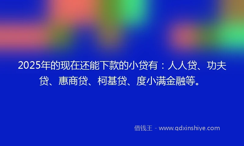 2025年的现在还能下款的小贷有：人人贷、功夫贷、惠商贷、柯基贷、度小满金融等。