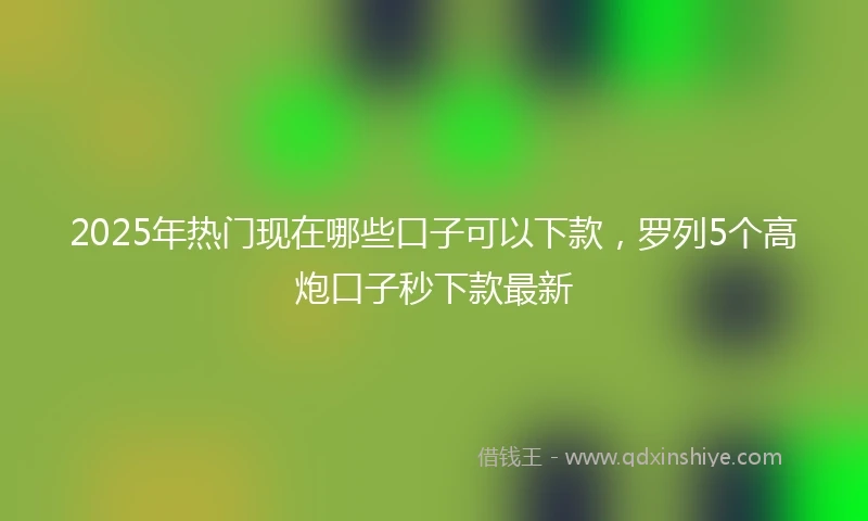 2025年热门现在哪些口子可以下款，罗列5个高炮口子秒下款最新