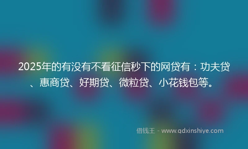 2025年的有没有不看征信秒下的网贷有：功夫贷、惠商贷、好期贷、微粒贷、小花钱包等。