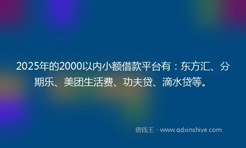 2025年的2000以内小额借款平台有：东方汇、分期乐、美团生活费、功夫贷、滴水贷等。