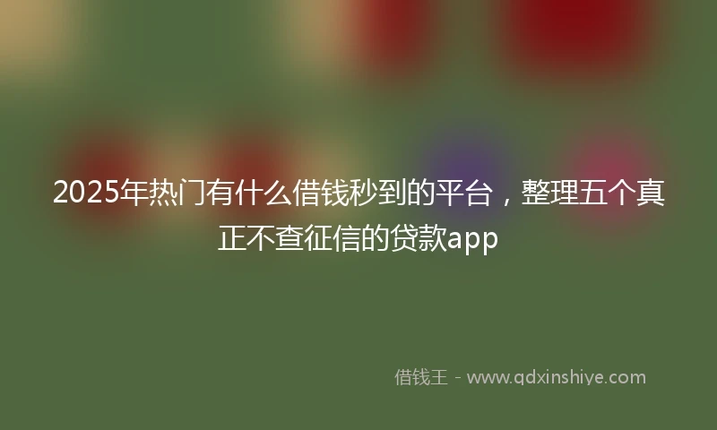 2025年热门有什么借钱秒到的平台，整理五个真正不查征信的贷款app