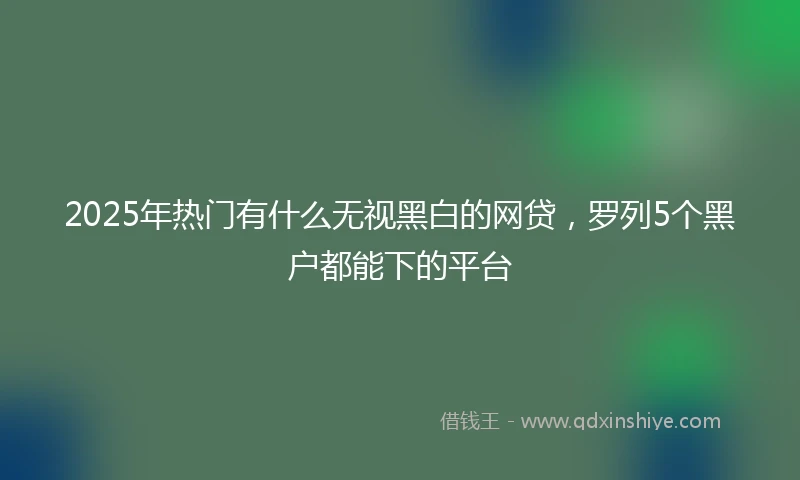2025年热门有什么无视黑白的网贷，罗列5个黑户都能下的平台