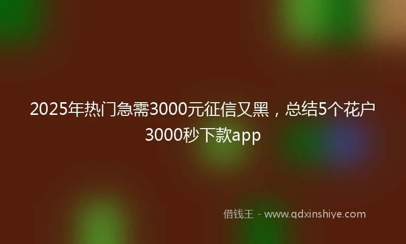 2025年热门急需3000元征信又黑，总结5个花户3000秒下款app