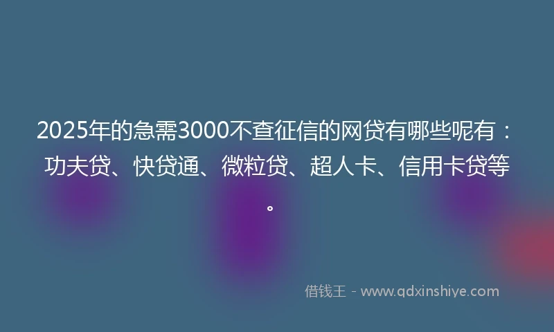 2025年的急需3000不查征信的网贷有哪些呢有：功夫贷、快贷通、微粒贷、超人卡、信用卡贷等。