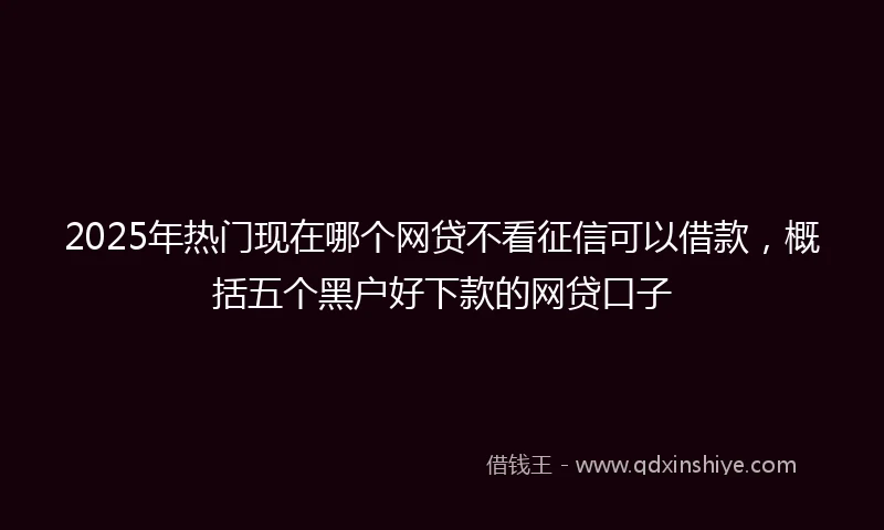 2025年热门现在哪个网贷不看征信可以借款，概括五个黑户好下款的网贷口子