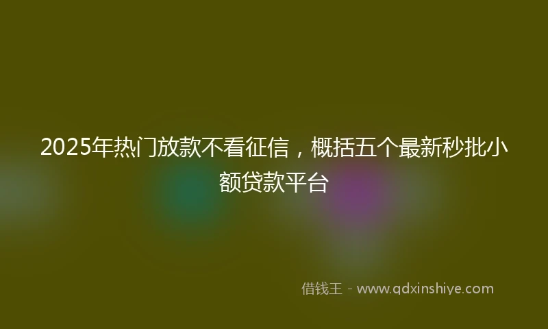 2025年热门放款不看征信，概括五个最新秒批小额贷款平台