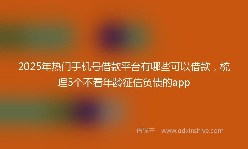 2025年热门手机号借款平台有哪些可以借款，梳理5个不看年龄征信负债的app