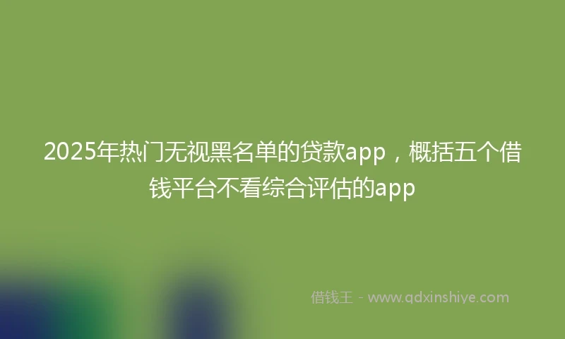 2025年热门无视黑名单的贷款app，概括五个借钱平台不看综合评估的app