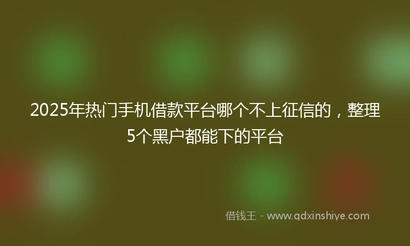 2025年热门手机借款平台哪个不上征信的，整理5个黑户都能下的平台