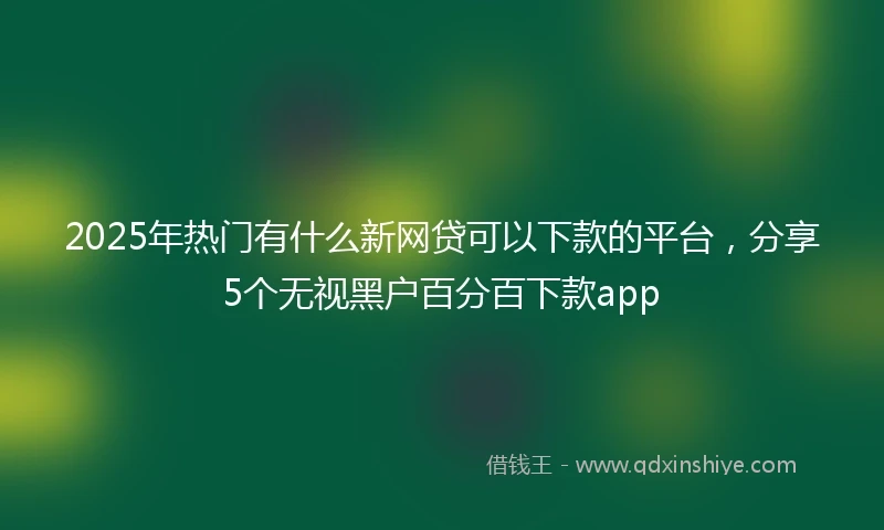 2025年热门有什么新网贷可以下款的平台，分享5个无视黑户百分百下款app