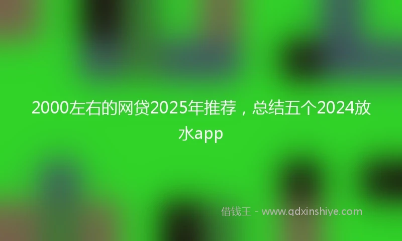 2000左右的网贷2025年推荐，总结五个2024放水app