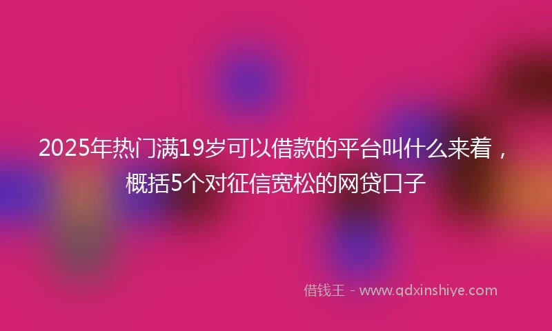 2025年热门满19岁可以借款的平台叫什么来着，概括5个对征信宽松的网贷口子